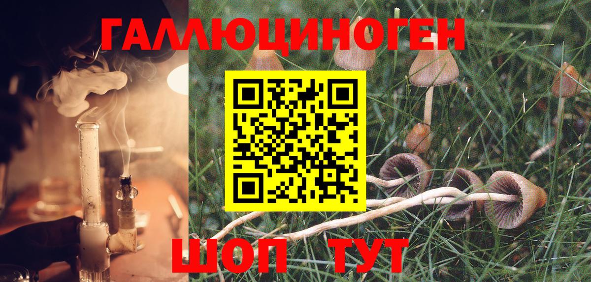 продажа наркотиков  Галлюциногенные грибы Psilocybine cubensis  Вход с VPN  Трёхгорный 